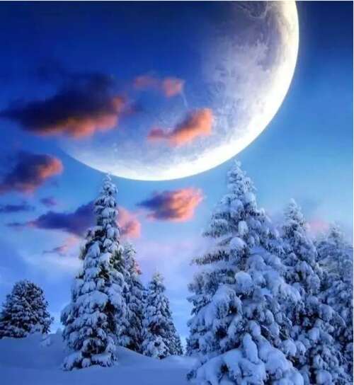 雪场面美丽的短句