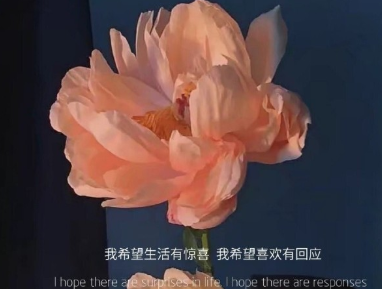 20.丽江白河钓鱼道,阳光回到雨。