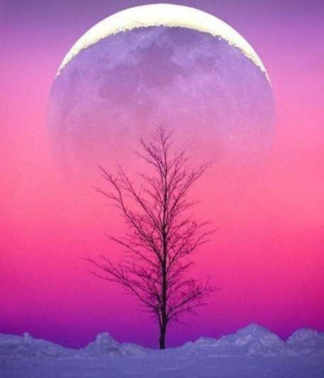 24，白雪，葡萄酒饱满