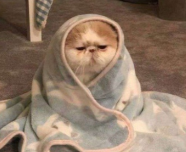 15.我姐姐的爱总是让人值得，其他人邀请你走到一边。