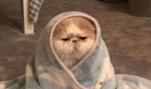 霸气豪爽的个性签名