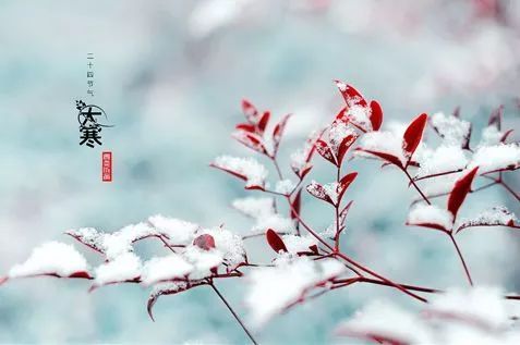 在大寒冷季节的诗歌