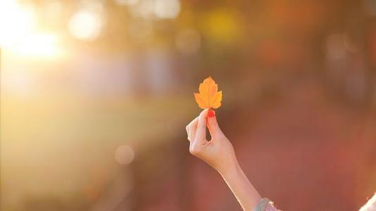 友谊的圣经经典句子