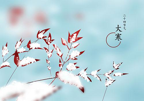 今天如何发送朋友圈1