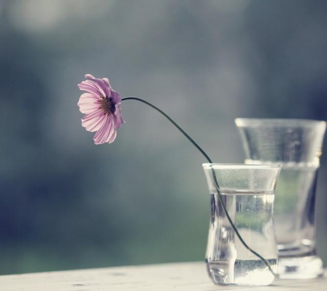 庆祝男性女朋友的句子1