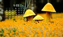 母校与校友情深的句子