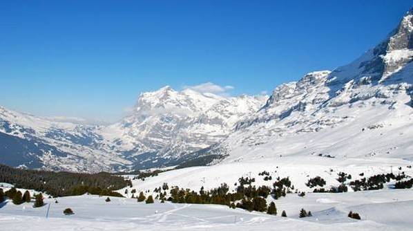 77，山上的雪被风吹过，就像小房间被缓冲了这座山。大树叫，风覆盖着小房间。一棵倾斜在山腰的大树，它被折叠起来。寒冷的月份害怕被所有声音落在天空中！