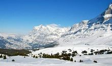 感受雪景的心情短语