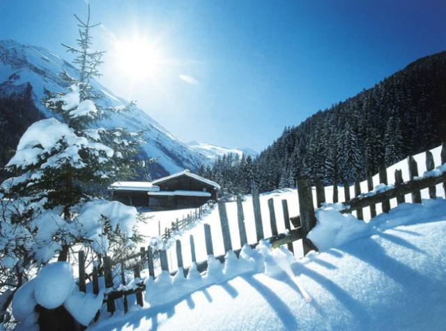 感受雪景致情绪短语1