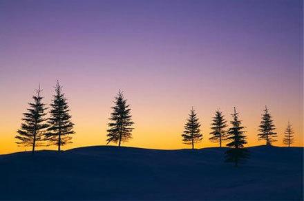 15.有一个理解,友谊总是可以立场;随着友谊,生活毫无价值。让我们了解光明。我们培养了这块土地,甜食是半口气。为了共同享受甜蜜的生活,我们需要挣扎和友谊。