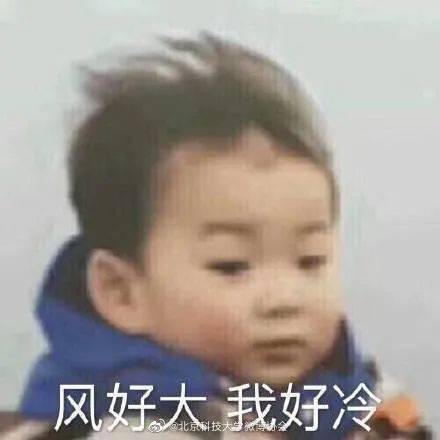 天气突然改变了寒冷和头发的朋友圈幽默句子1