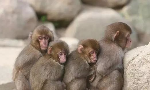 62,今年冬天越来越冷,我问爸爸:“我什么时候可以买空调?”爸爸尴尬的土地皱眉:“明天买!”第二天,爸爸曾经生锈的秒针。当空调回家时,我对我们说:“如果寒冷,只需给这个空调,你会温暖几次。”