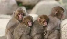 天气突然变冷发朋友圈幽默句子