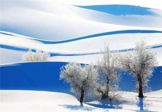 朋友圈正在下雪,谈论这句话1