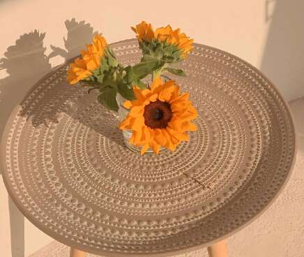 不要总是抱怨那个生活不够幸运,你欠了一项艰苦的工作,每一个你现在讨厌,没有努力,未来并不美丽,取决于你现在的战斗。