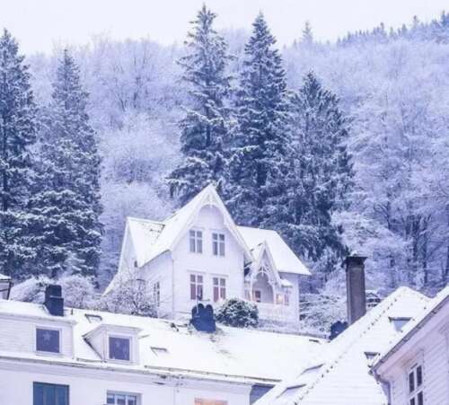 24，雪花在开放空间中飞行，好像他们正在说话：“朋友，走到一起跳舞！来！几个雪花在天空中跳舞。非常开心，慢慢漂浮。Pictureto落在地上，我用手抓住“雪花”。雪落在我的手册中，我觉得有点凉爽，但我看到了这样一个纯净，美丽的雪花，我觉得我的心是温暖的。神奇的。魔法，在天空下，看起来很棒。六 - 面雪闪光是银灯，闪烁，就像天空中的小星星一样。