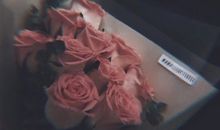 戳心文案 句句戳心的丧文案