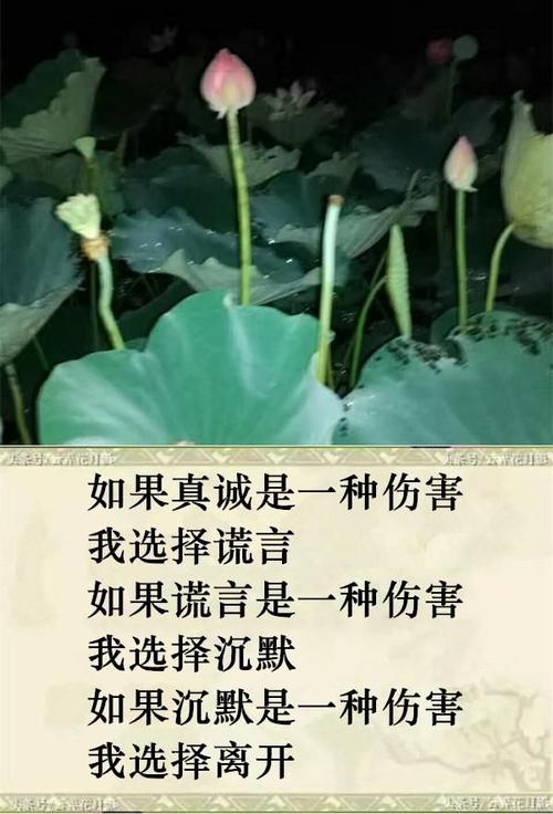 隐含喜欢一个人的诗句