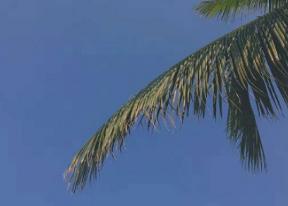 2021年最新签名女性10字