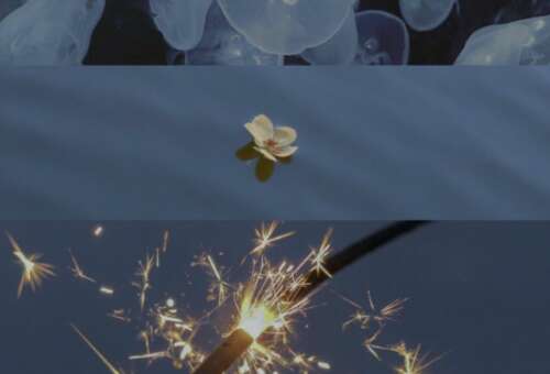 新年快乐,祝你幸福和吉祥,未来就像一笔锦缎。