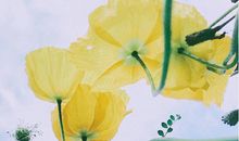 祝福朋友的话语 暖心