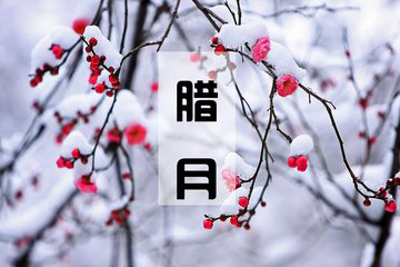 27.良好的善良并不弱,但从来没有主动伤害他人,不会纠缠,知道如何停止。再见在冬季,你好,来吧!