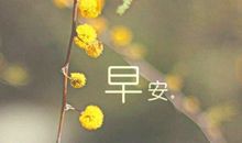 朋友圈关于成功的句子