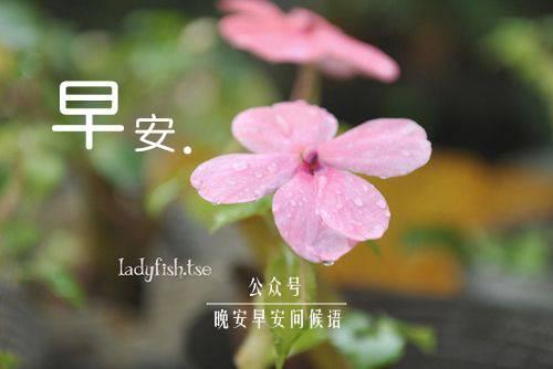 我希望我的男朋友