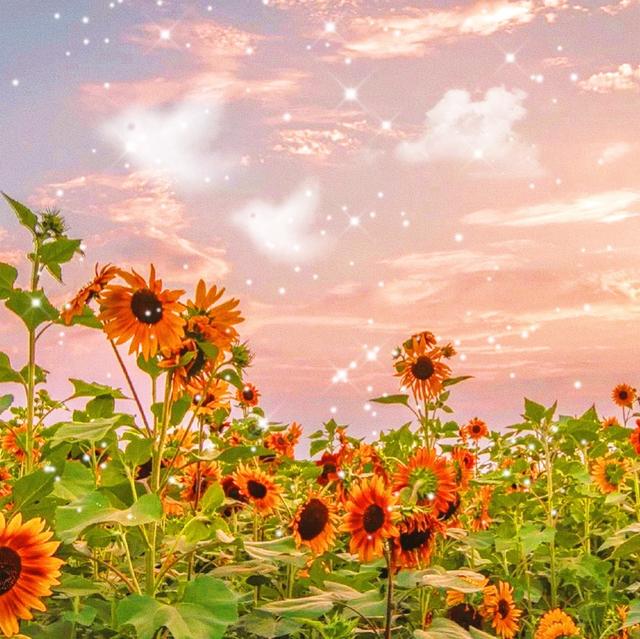 30，新年，新起点;新年，遥远;新年，梦想实现;新年，令人兴奋;新的一年，短信连接;新年，我在这里;新的一年，幸福无边无际。