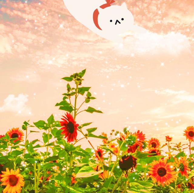 祝大家在新的一年里问候。