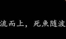 男女珍惜彼此感情的句子