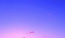 佛系经典哲理句子