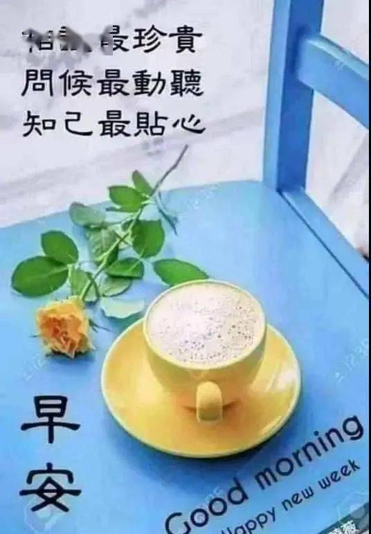 微信圈的早晨说