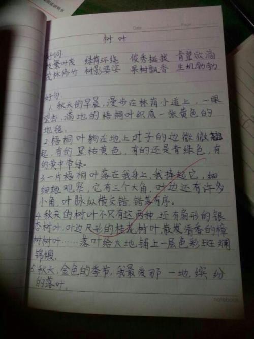 很短的好话，大句子