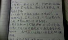 很短的好词好句大全