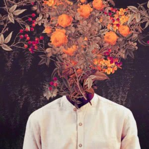 轻盈美白夫妇网络名称