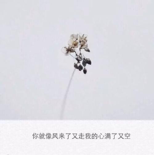 孤独的深夜诗句