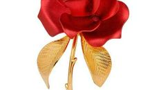 围绕鸟儿对树的执着友情的句子