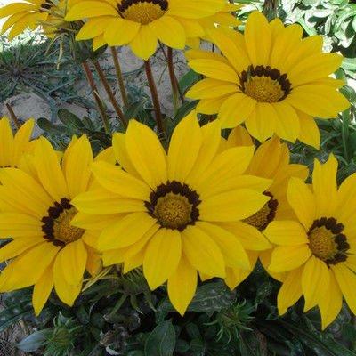 比春天的十句话