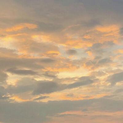 不是预测友谊的句子