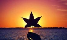 有关闺蜜友情的句子