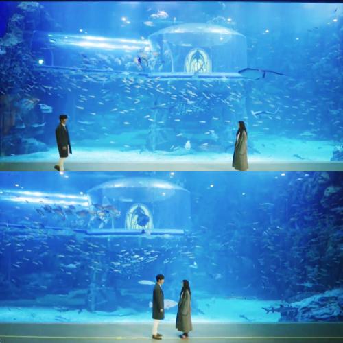 15,我们可以放弃很多事情,但只要你没有放弃一个朋友。