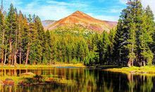 友情类议论抒情句子