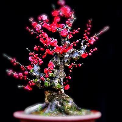 15,我像个孩子一样哭,我会回来回来。