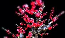 表达友情有趣的句子