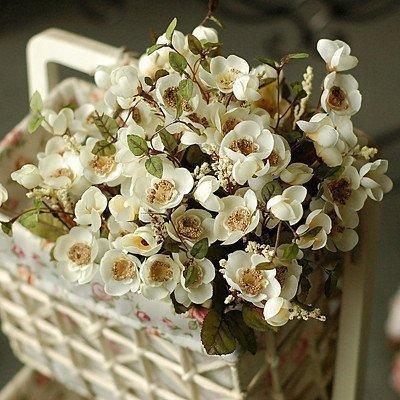 15.虽然我们不能改变生活,但我们可以改变前景;虽然我们无法改变环境,但我们可以改变心情!