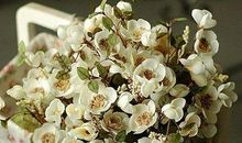 友情最深刻的句子