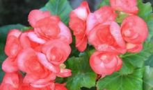 友情需要经营经典句子