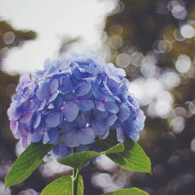 句子的友谊到白头1