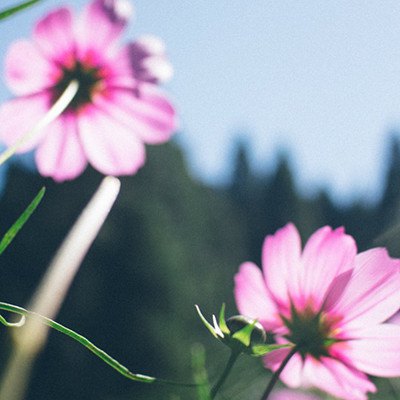 友好的人的判决